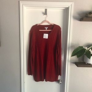 Red sweater 3x